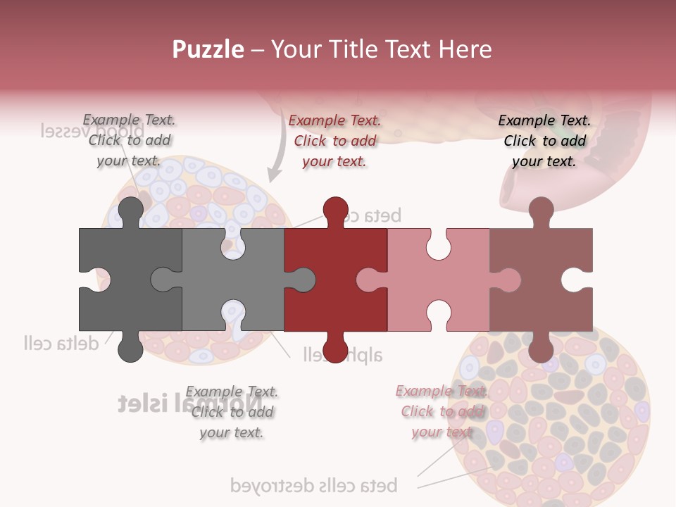 Young Vector Study PowerPoint Template