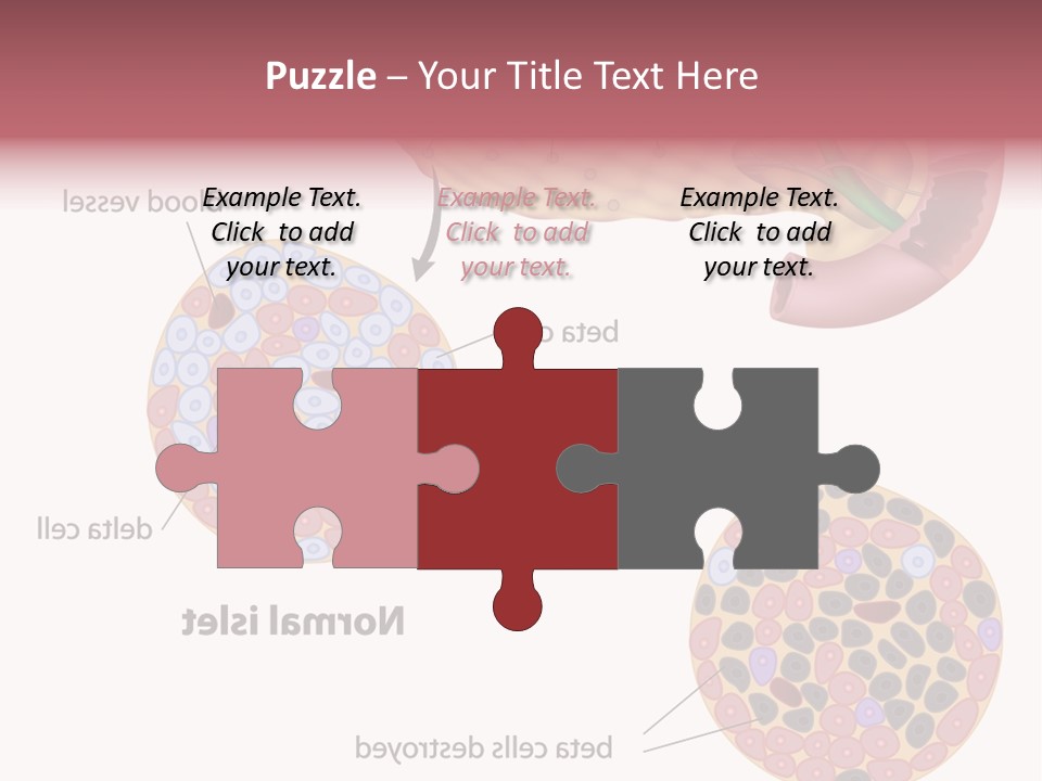 Young Vector Study PowerPoint Template