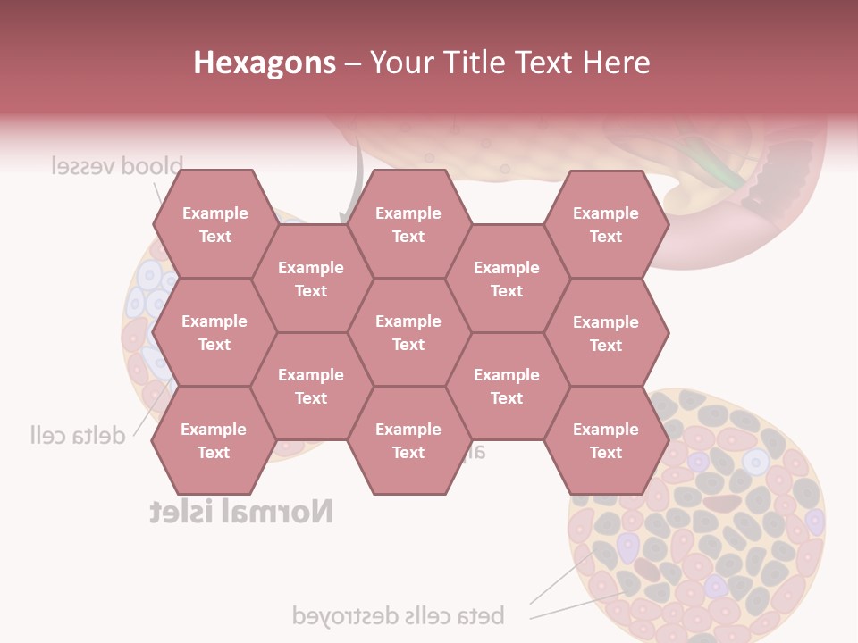 Young Vector Study PowerPoint Template