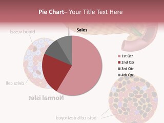 Young Vector Study PowerPoint Template