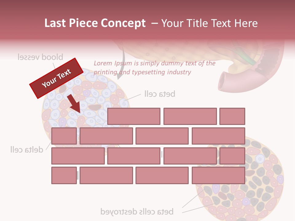 Young Vector Study PowerPoint Template