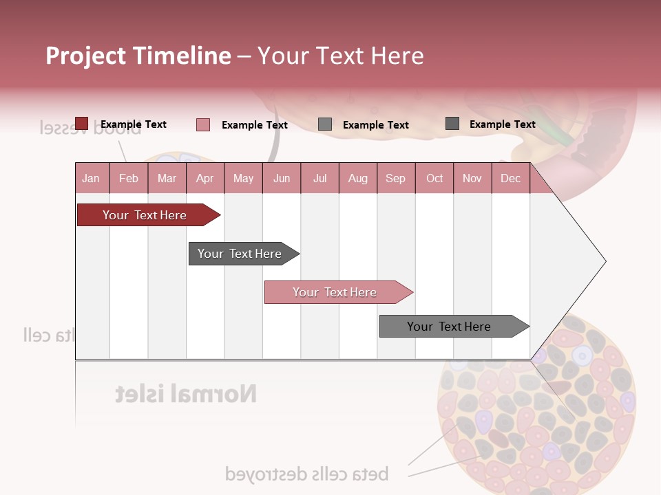 Young Vector Study PowerPoint Template