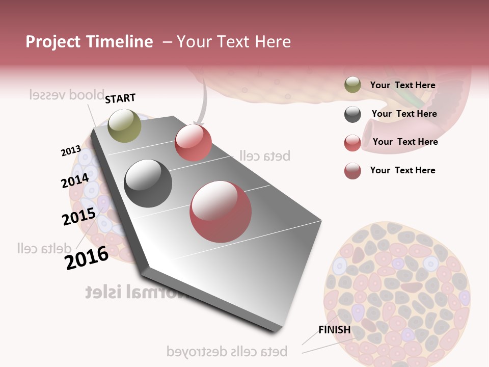 Young Vector Study PowerPoint Template