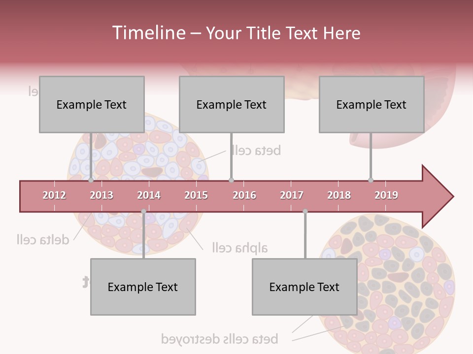 Young Vector Study PowerPoint Template