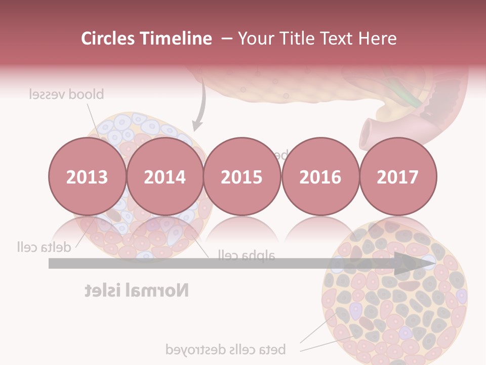 Young Vector Study PowerPoint Template