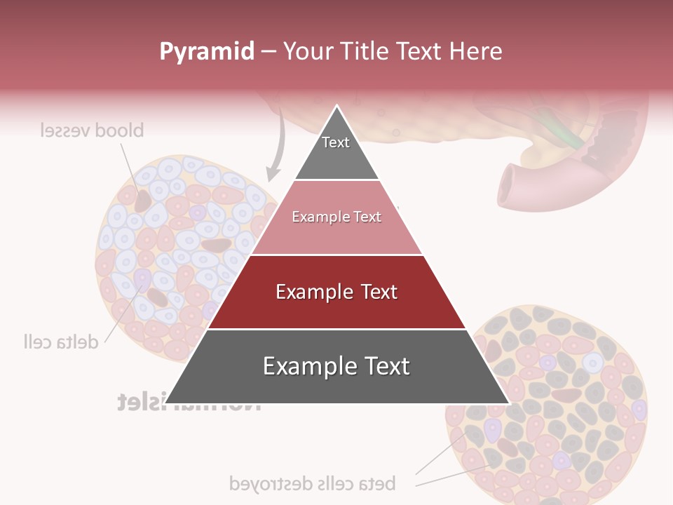 Young Vector Study PowerPoint Template