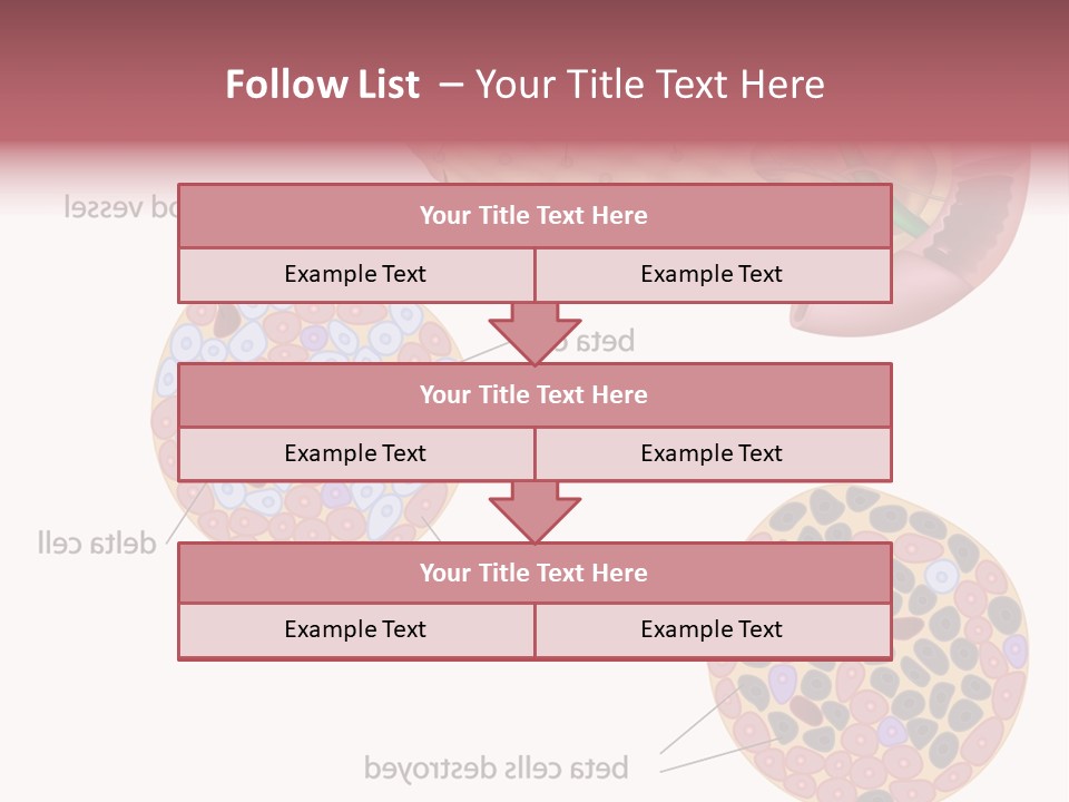 Young Vector Study PowerPoint Template
