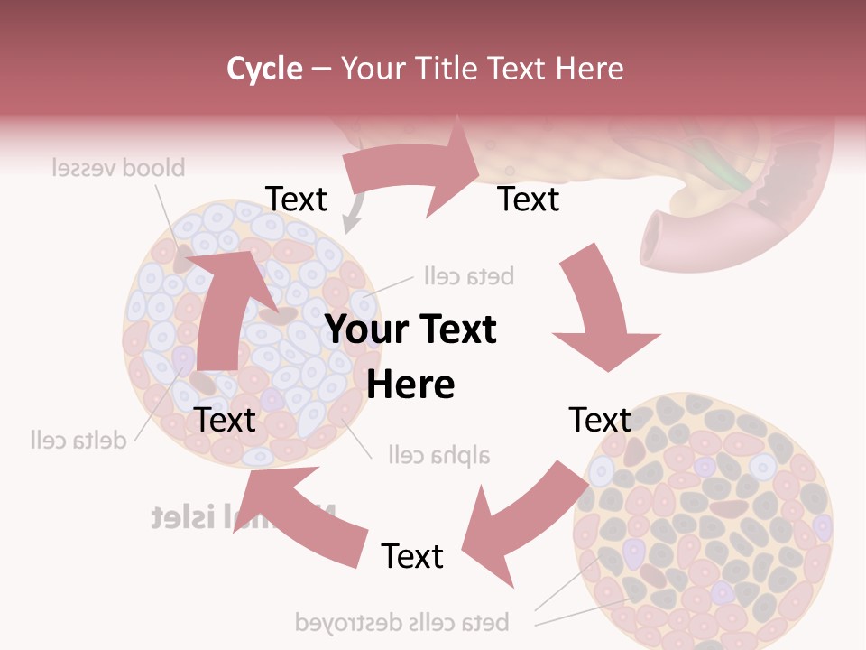 Young Vector Study PowerPoint Template
