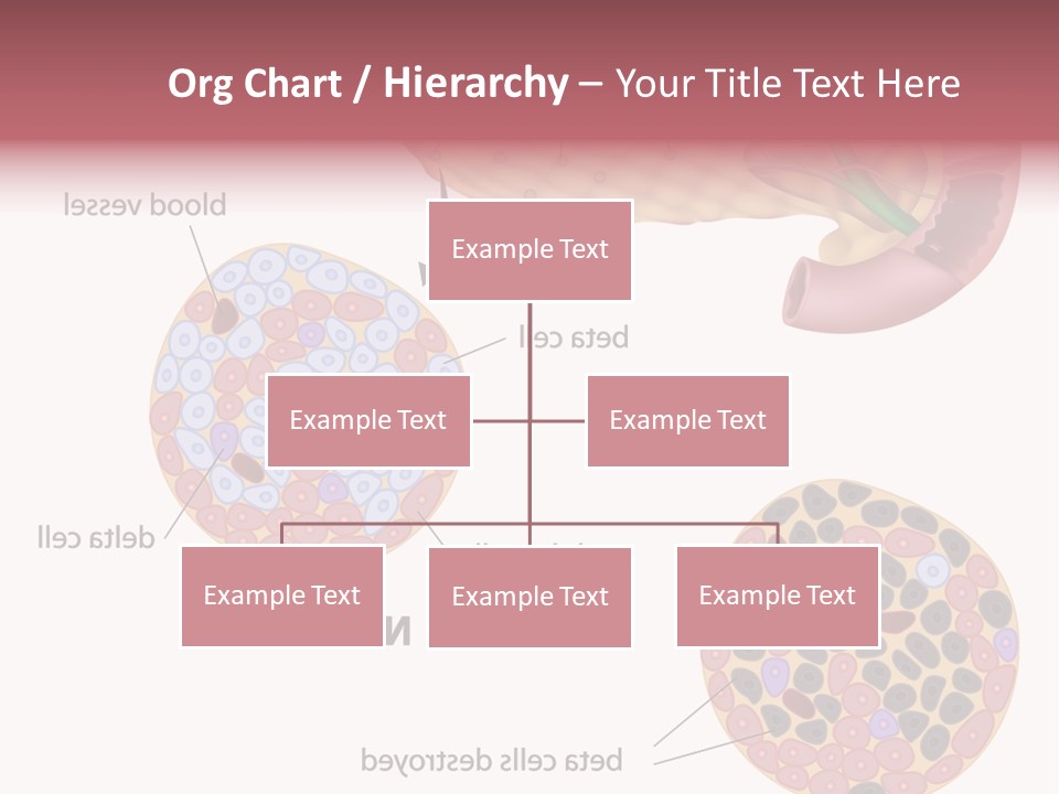 Young Vector Study PowerPoint Template