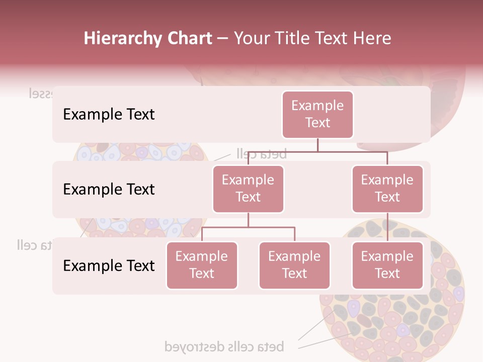 Young Vector Study PowerPoint Template