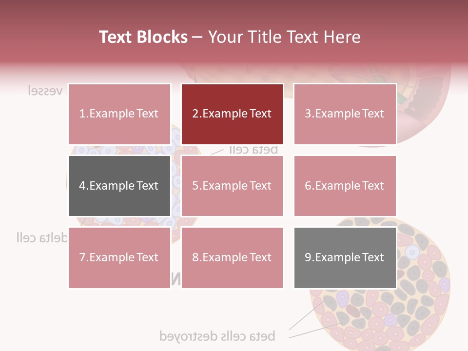 Young Vector Study PowerPoint Template