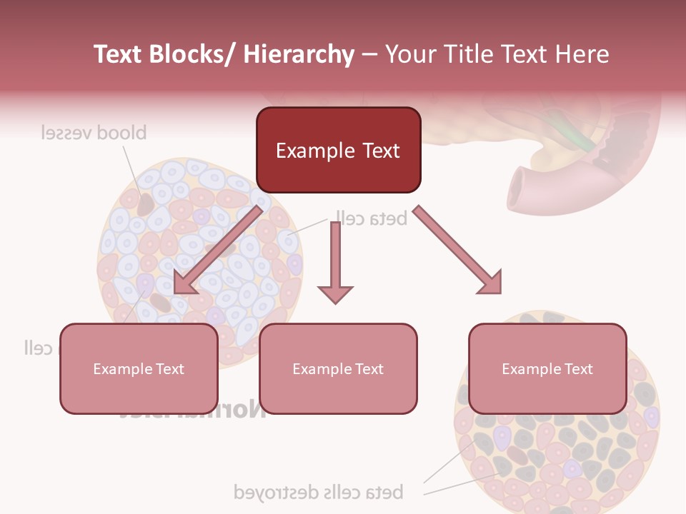 Young Vector Study PowerPoint Template
