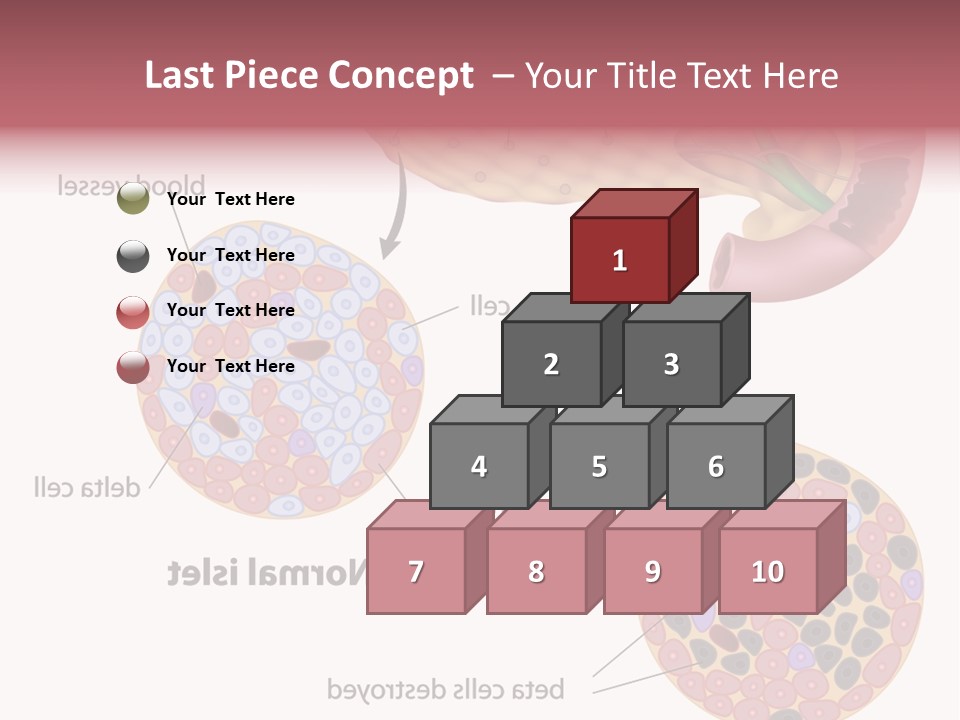 Young Vector Study PowerPoint Template