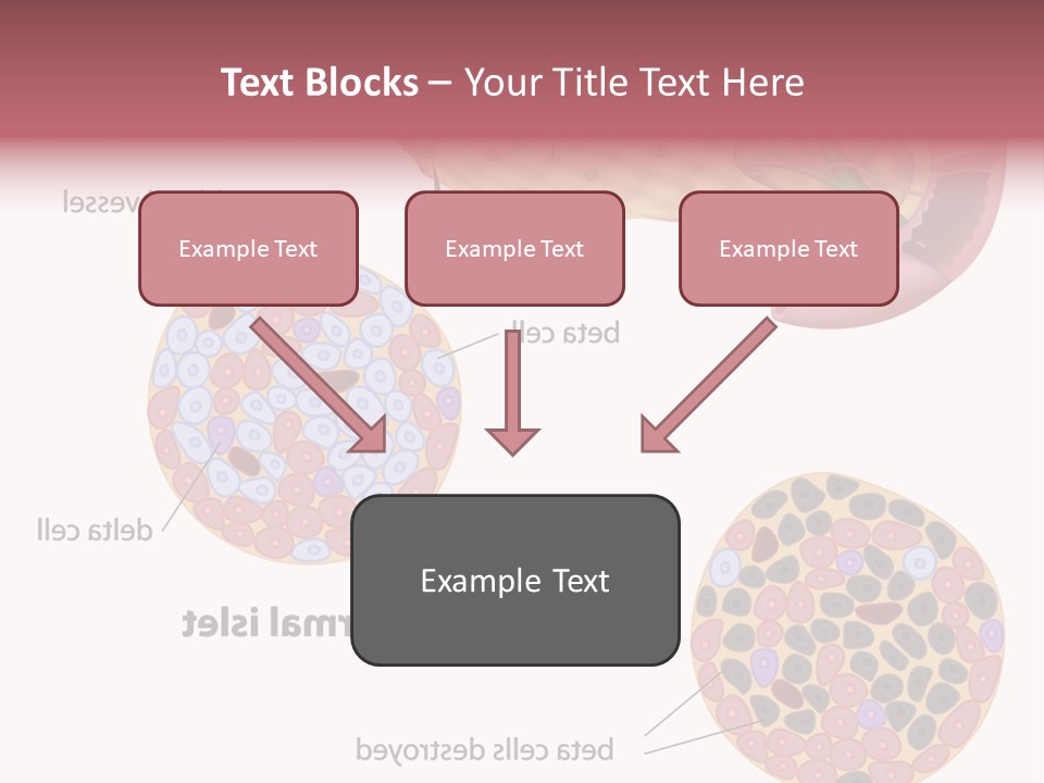 Young Vector Study PowerPoint Template