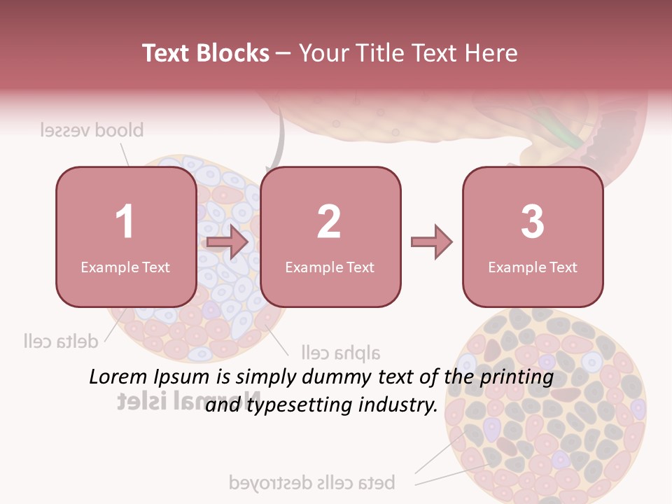 Young Vector Study PowerPoint Template