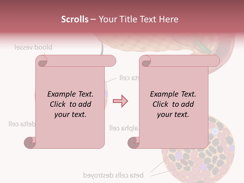 Young Vector Study PowerPoint Template