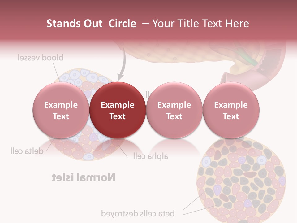 Young Vector Study PowerPoint Template