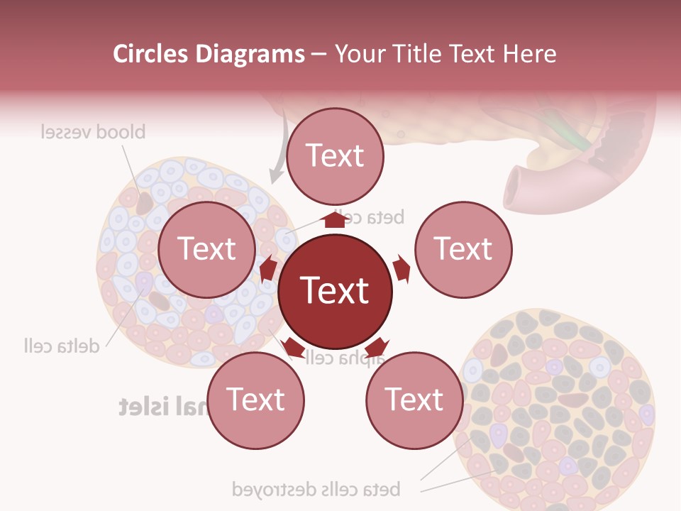 Young Vector Study PowerPoint Template