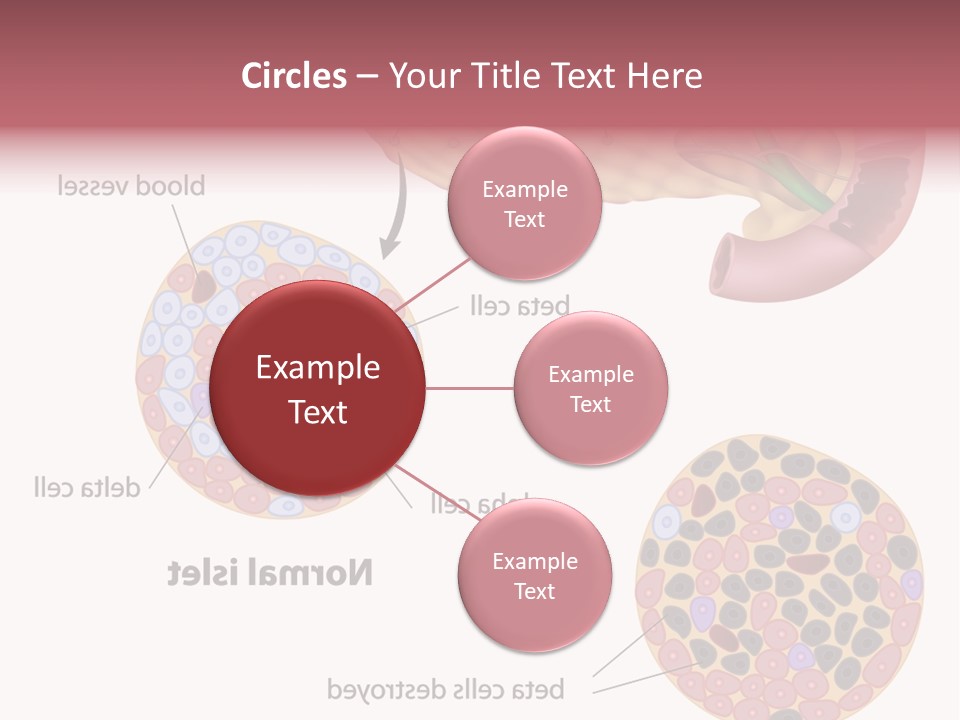 Young Vector Study PowerPoint Template