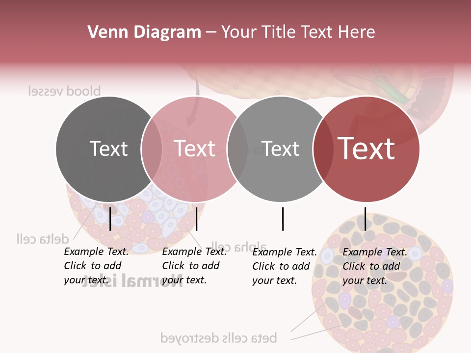 Young Vector Study PowerPoint Template