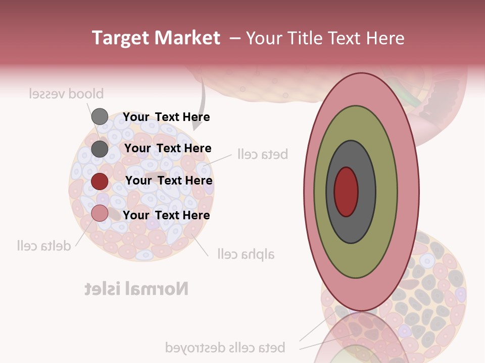 Young Vector Study PowerPoint Template