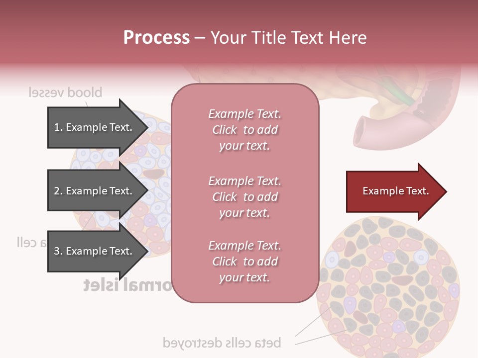 Young Vector Study PowerPoint Template