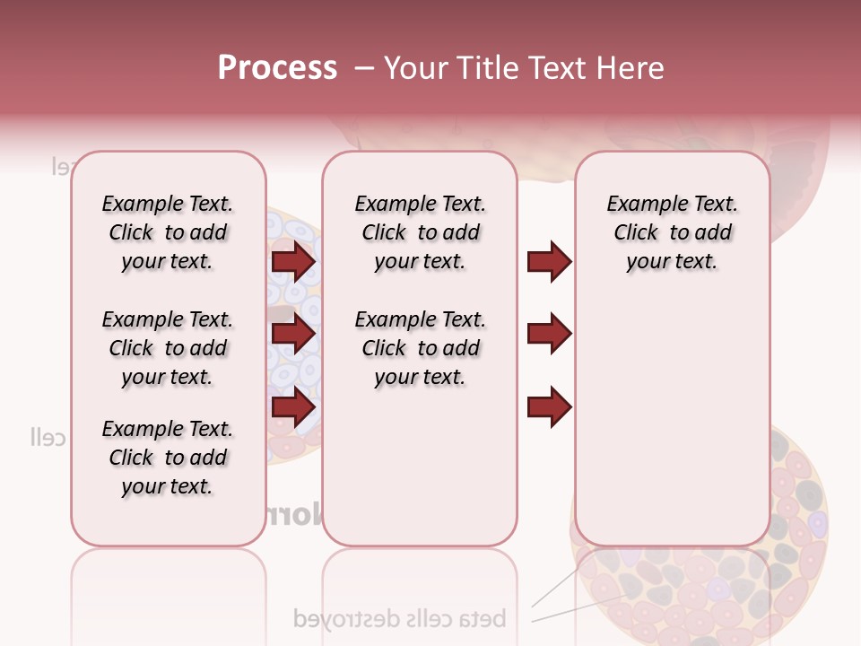 Young Vector Study PowerPoint Template