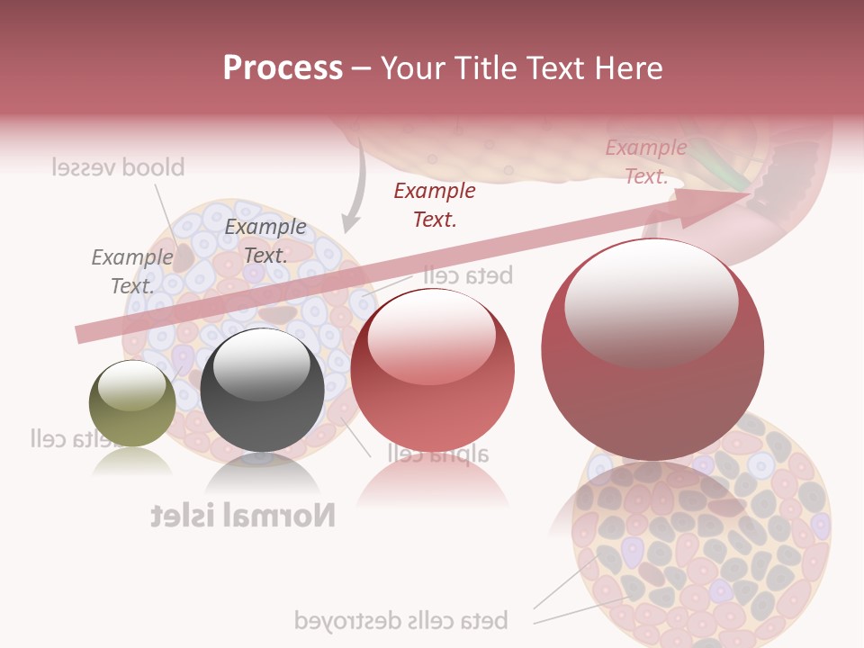 Young Vector Study PowerPoint Template