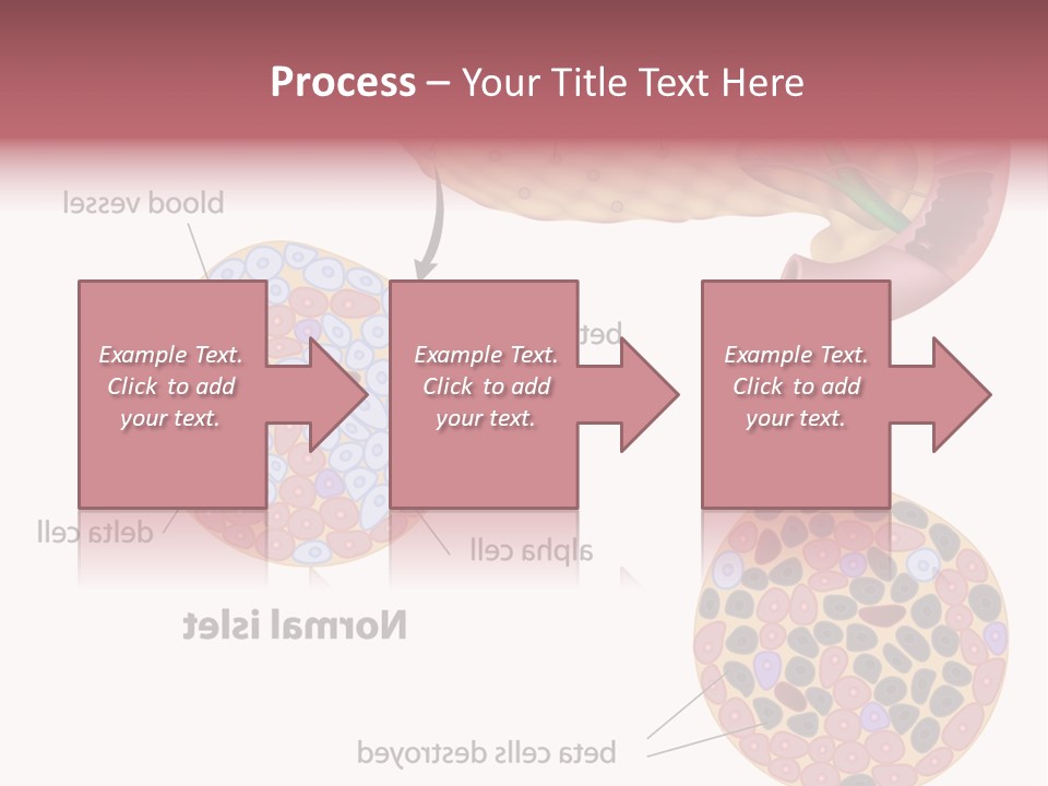 Young Vector Study PowerPoint Template