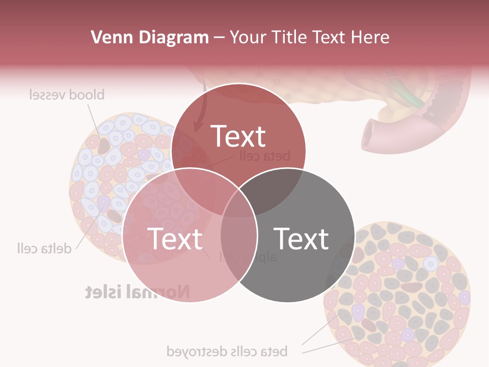 Young Vector Study PowerPoint Template