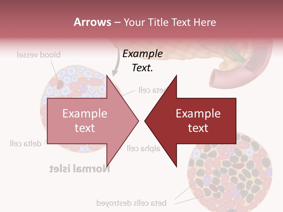 Young Vector Study PowerPoint Template
