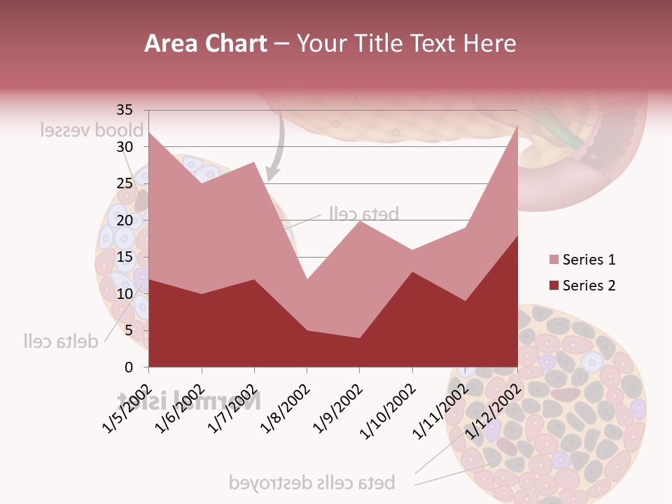 Young Vector Study PowerPoint Template