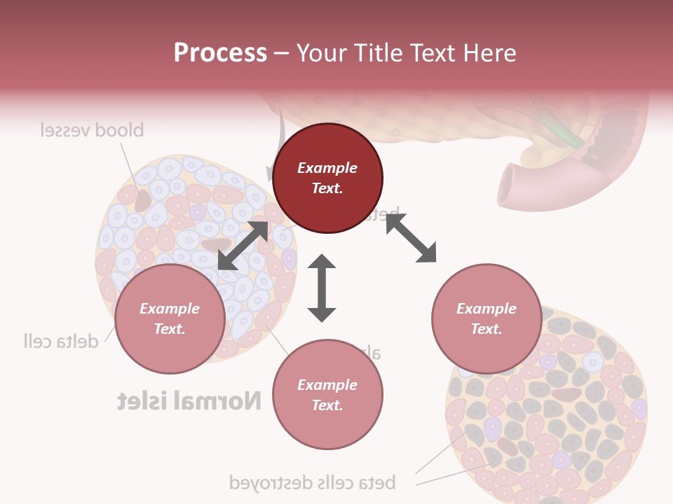 Young Vector Study PowerPoint Template