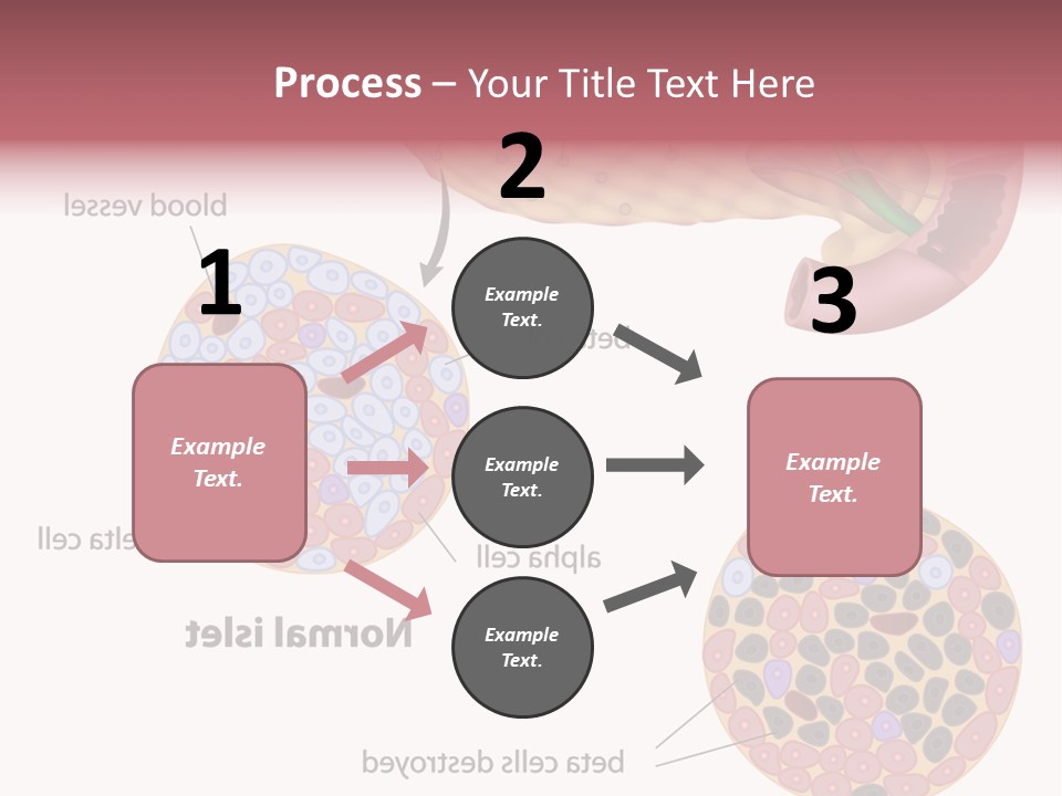 Young Vector Study PowerPoint Template