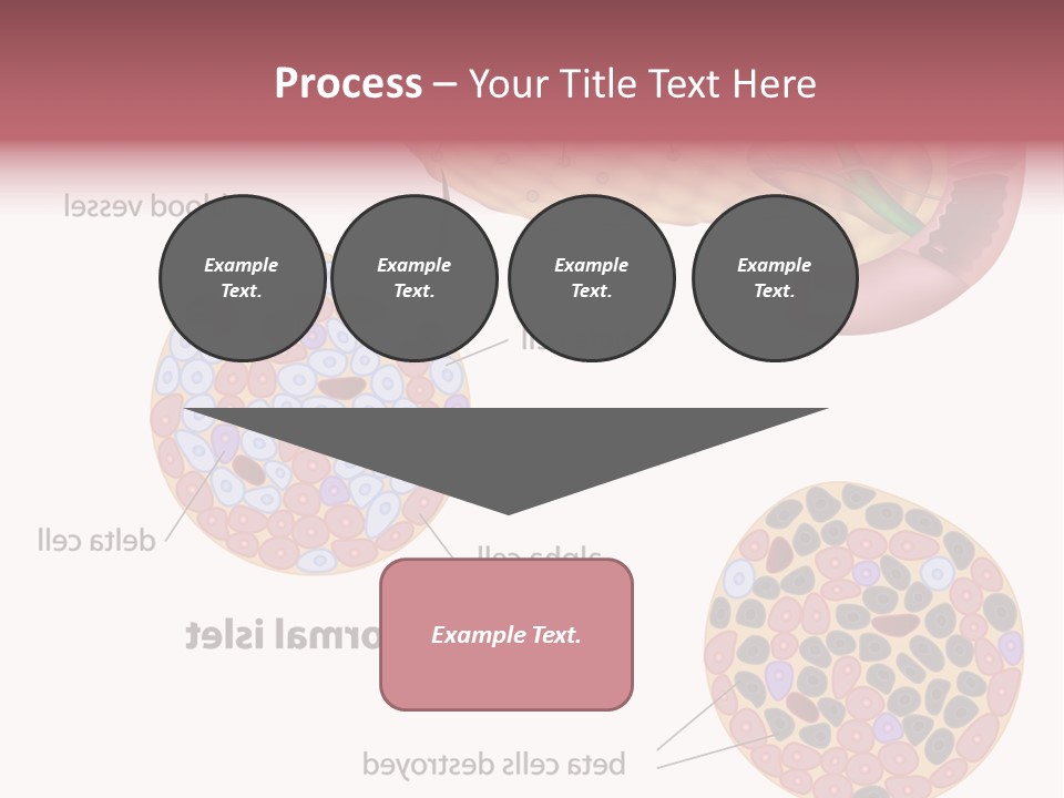 Young Vector Study PowerPoint Template