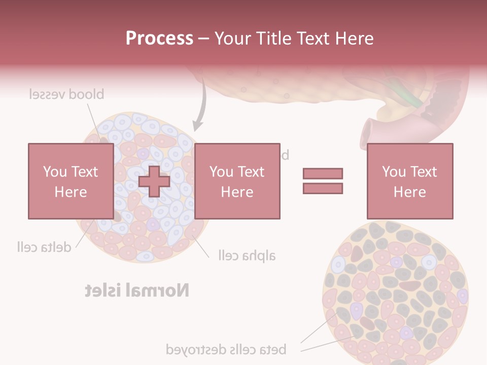 Young Vector Study PowerPoint Template
