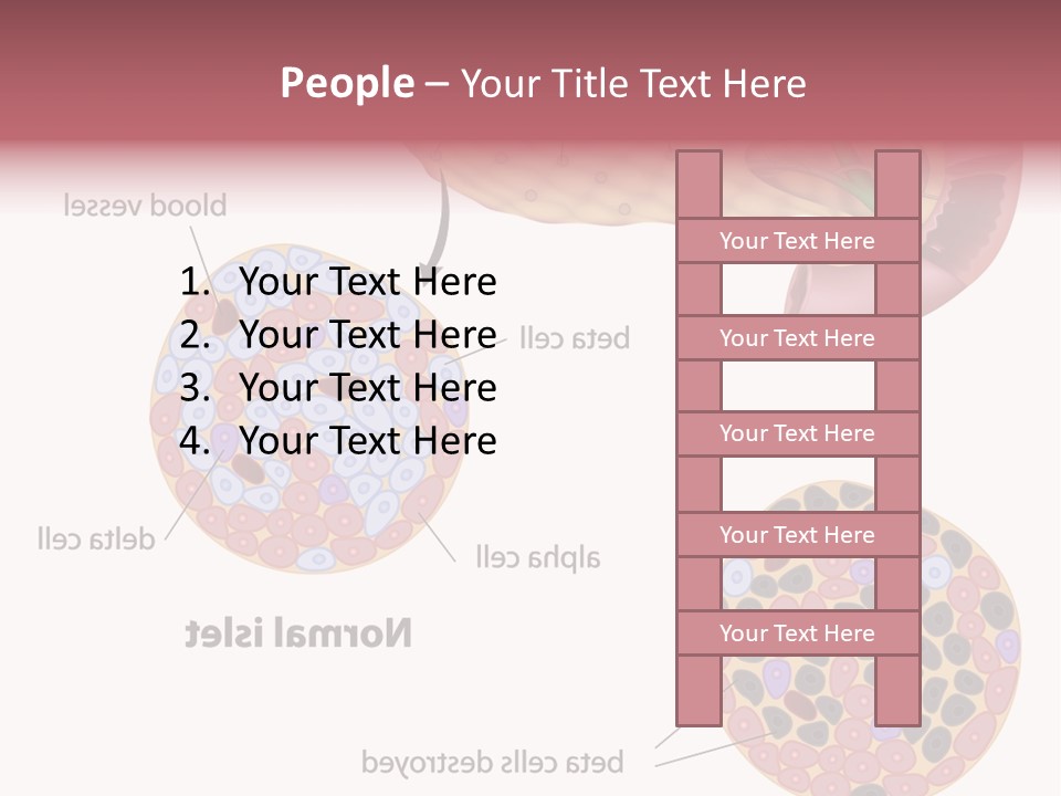 Young Vector Study PowerPoint Template