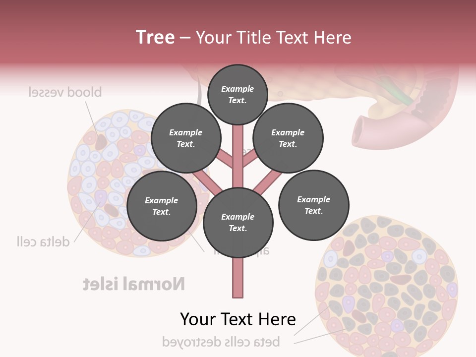 Young Vector Study PowerPoint Template