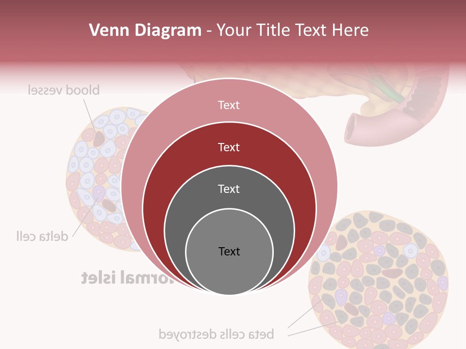 Young Vector Study PowerPoint Template