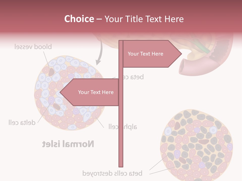 Young Vector Study PowerPoint Template