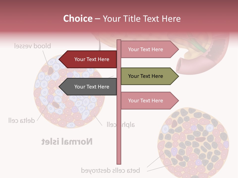 Young Vector Study PowerPoint Template