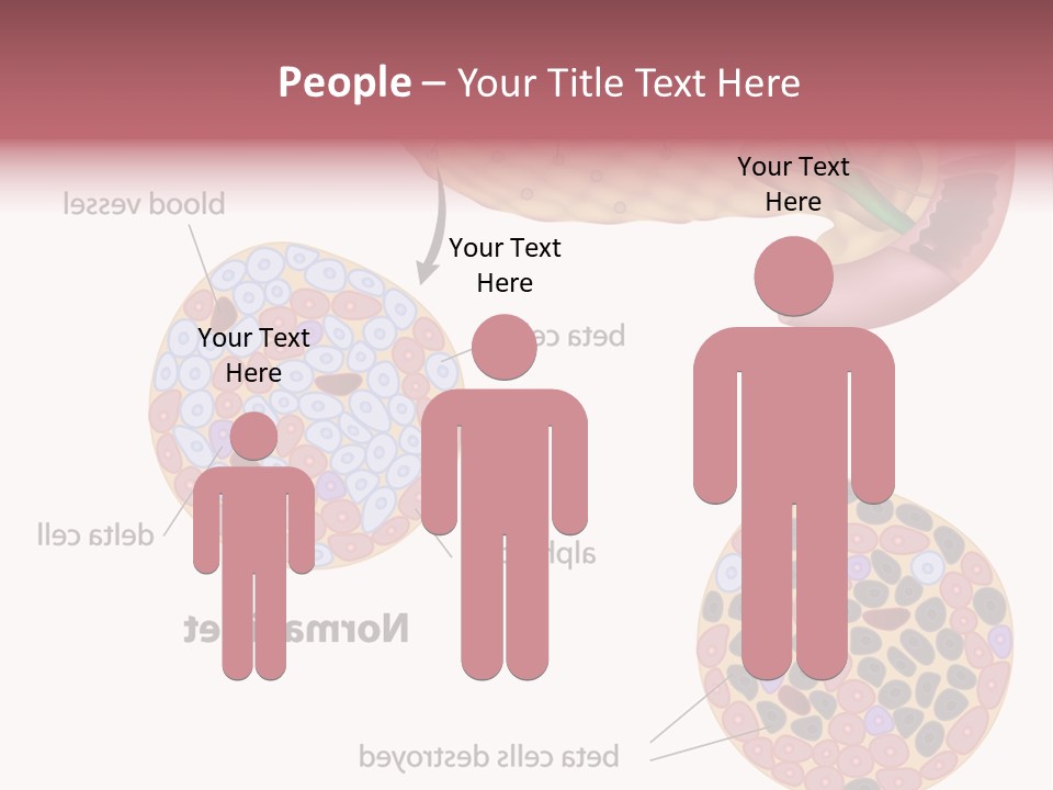 Young Vector Study PowerPoint Template