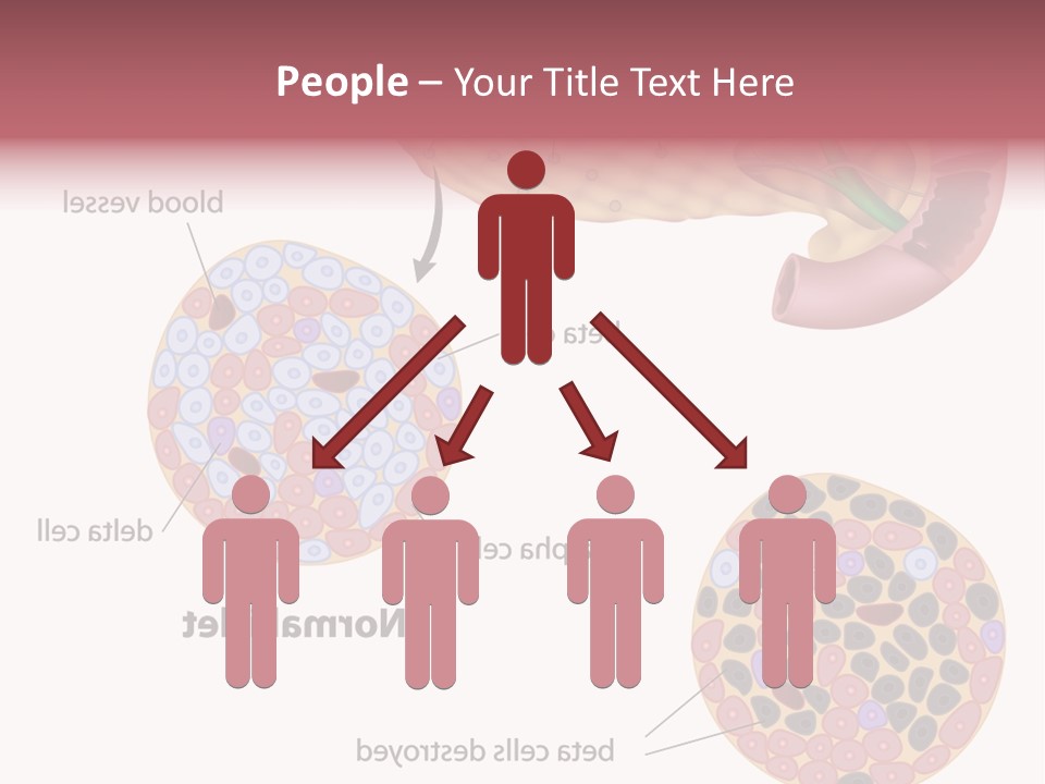 Young Vector Study PowerPoint Template