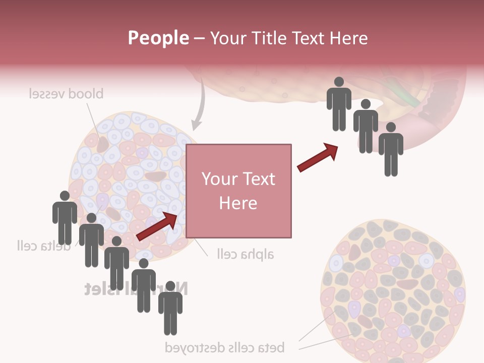 Young Vector Study PowerPoint Template