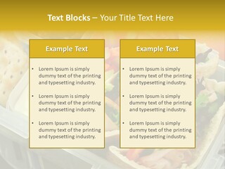 Carrots Natural Pita Bread PowerPoint Template