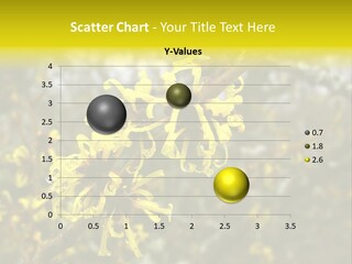 Hamamelis Witchhazel Blossom PowerPoint Template