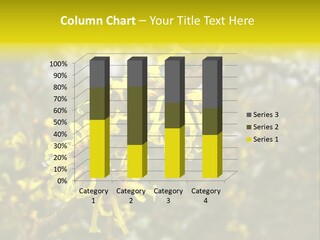 Hamamelis Witchhazel Blossom PowerPoint Template