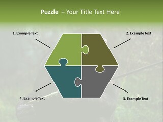 Chimp Furry Wild PowerPoint Template