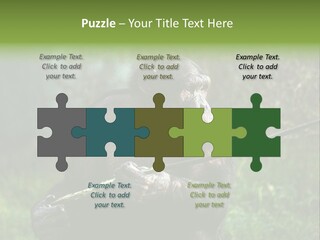Chimp Furry Wild PowerPoint Template