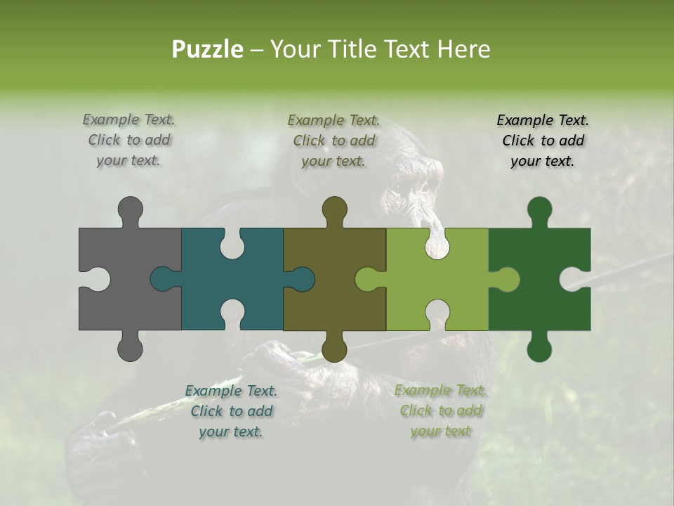 Chimp Furry Wild PowerPoint Template